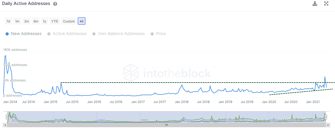 DOGE new addresses