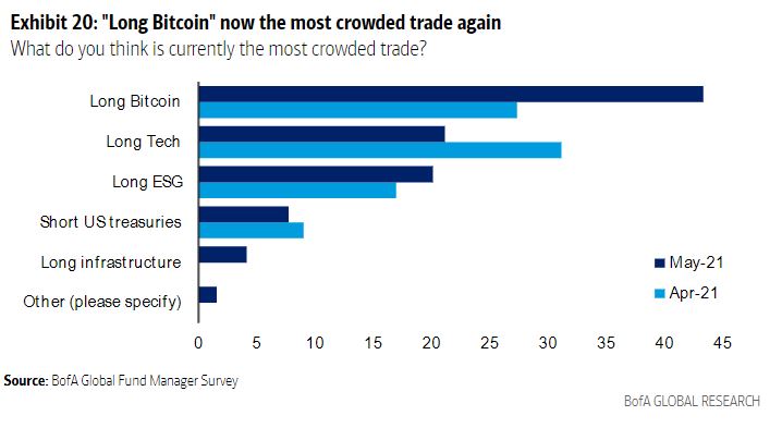 Bank of America Fund Manager Survey