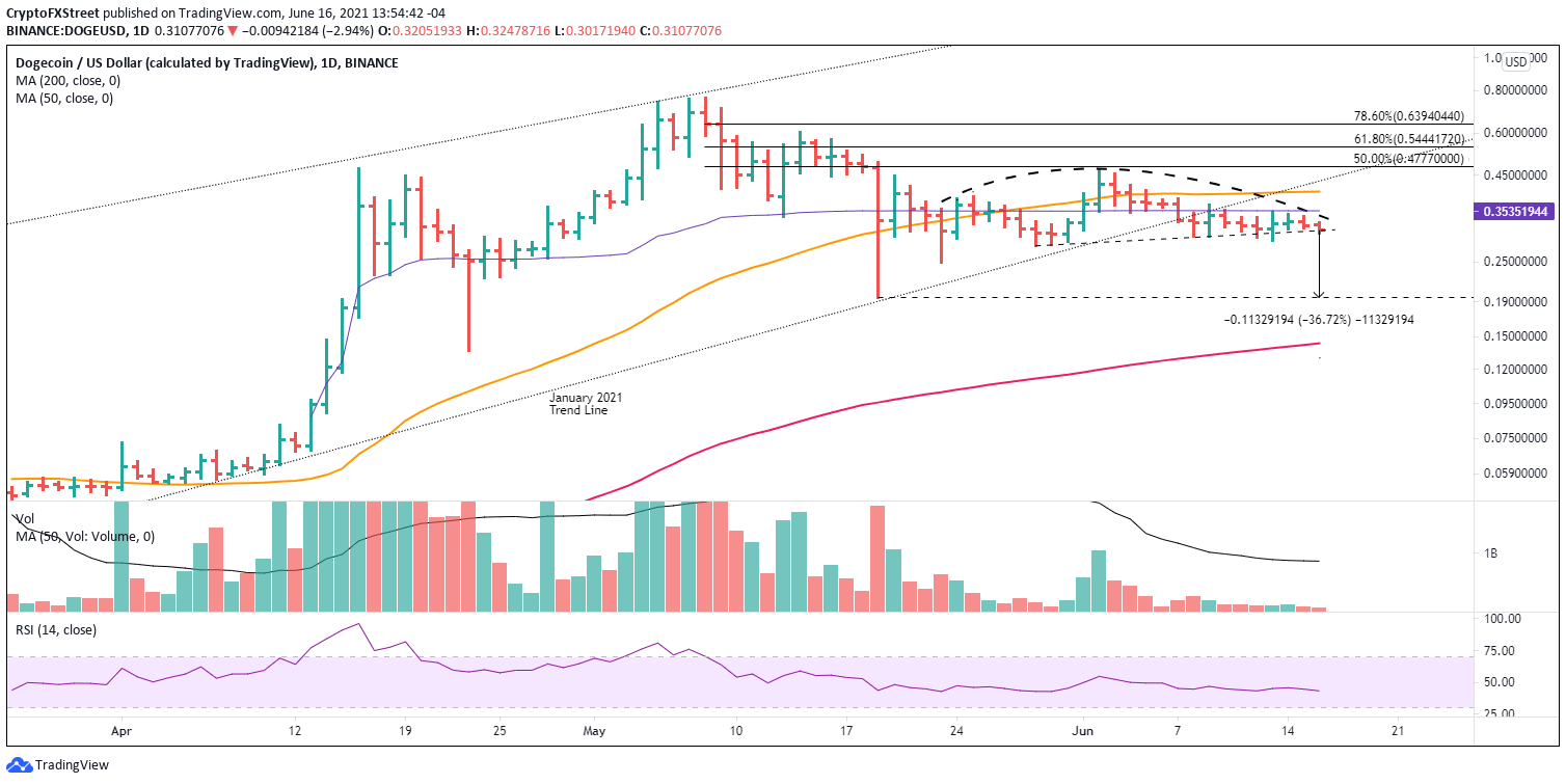 DOGE/USD daily chart