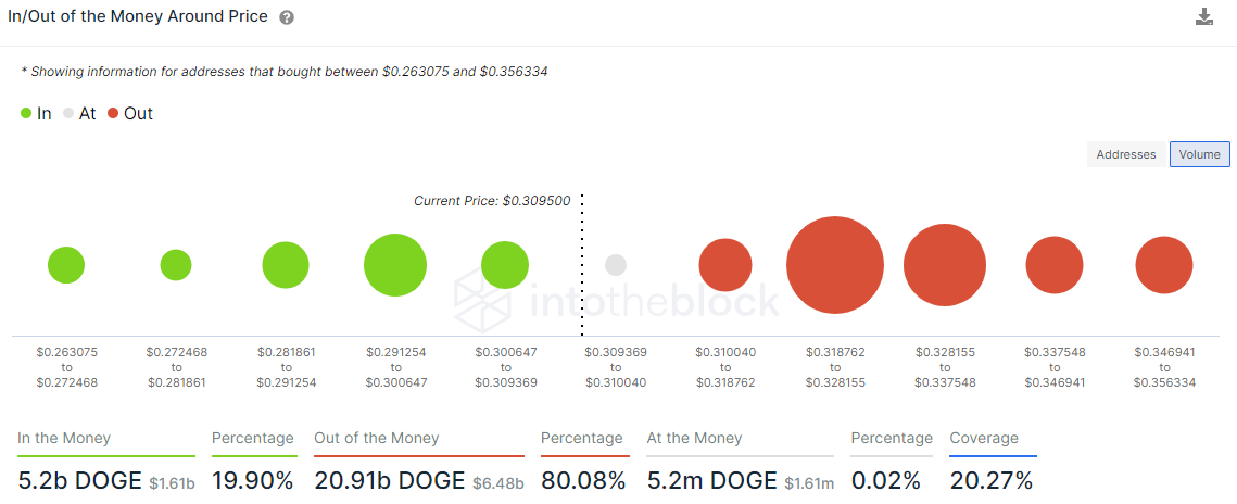 DOGE IOMAP - IntoTheBlock