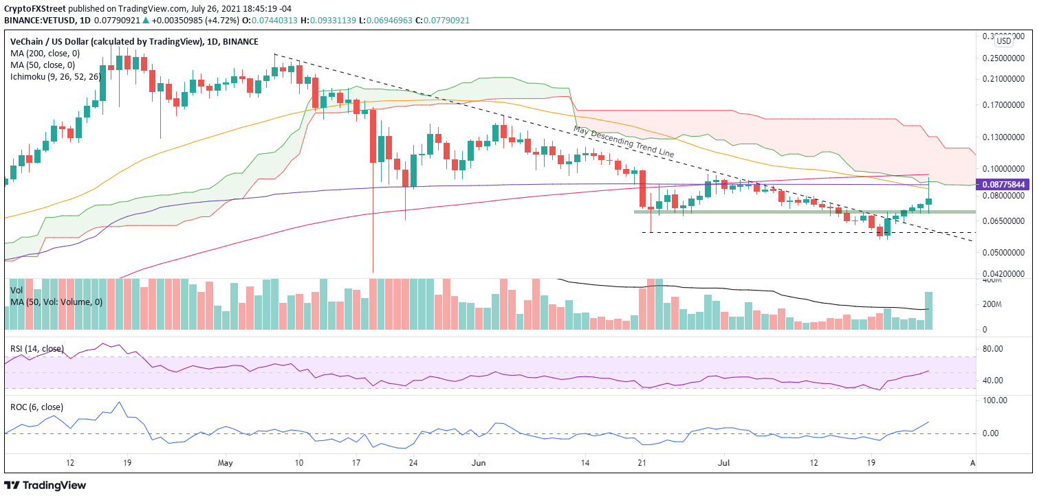 VET/USD daily chart