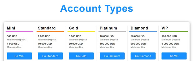 1Market Account types