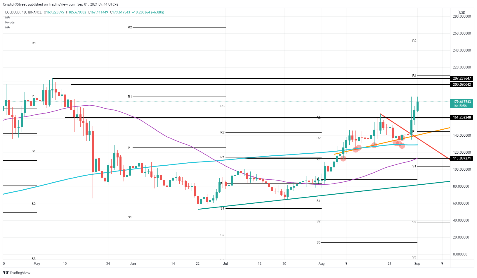 EGLD/USD daily chart