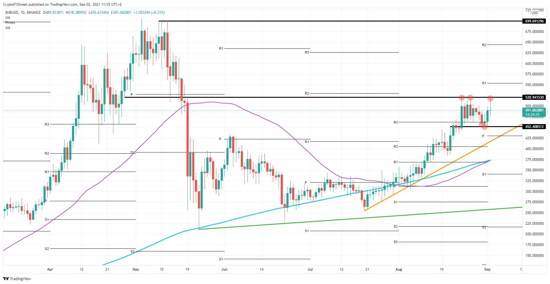 BNB/USD daily chart