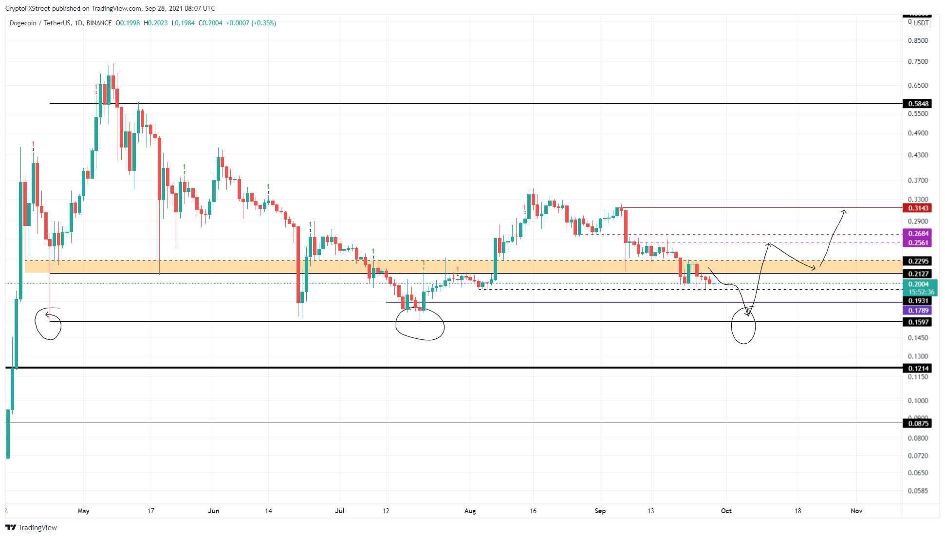 DOGE/USDT 1-day chart