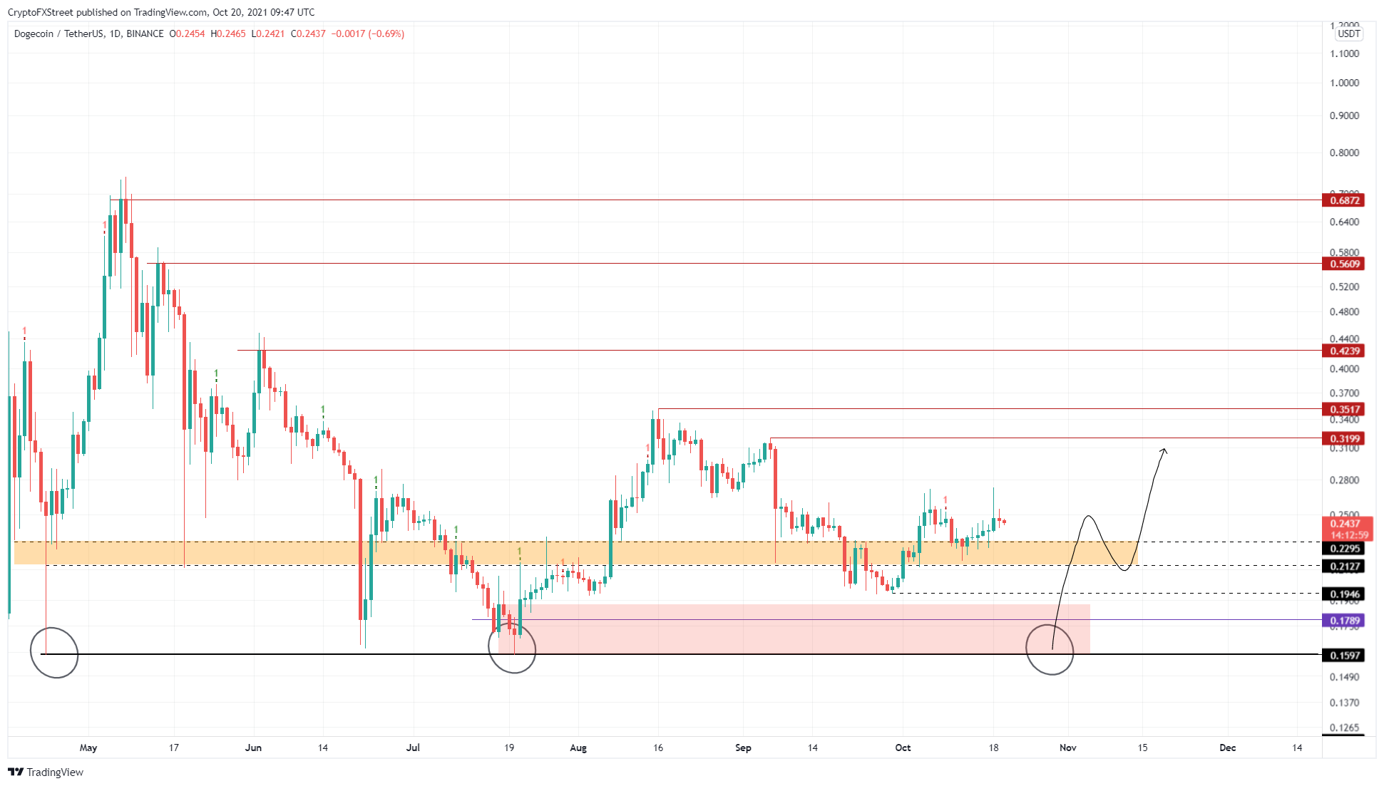 DOGE/USDT 1-day chart