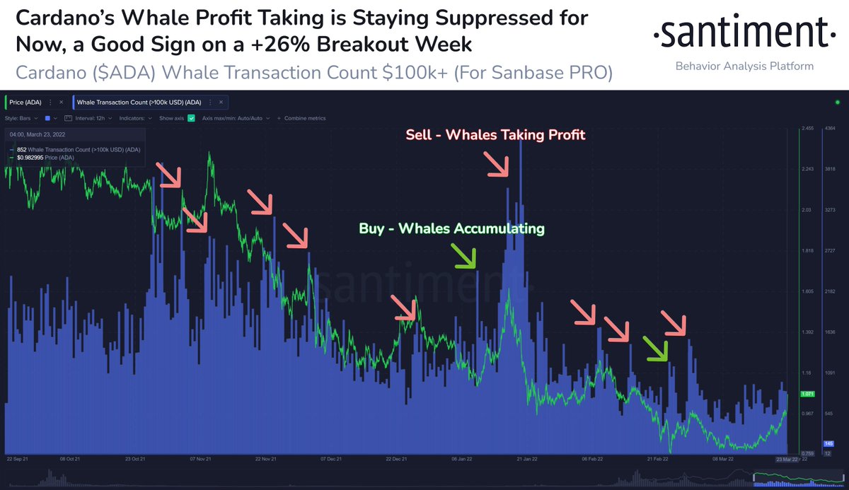 Whale Profit-taking on Cardano