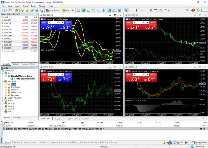 BlackBull Markets MT5 desktop platform