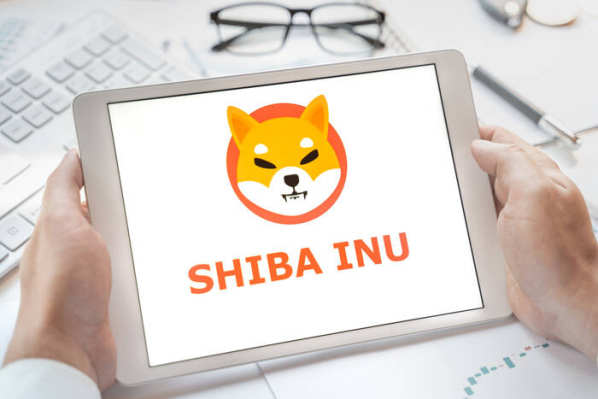 Shiba 