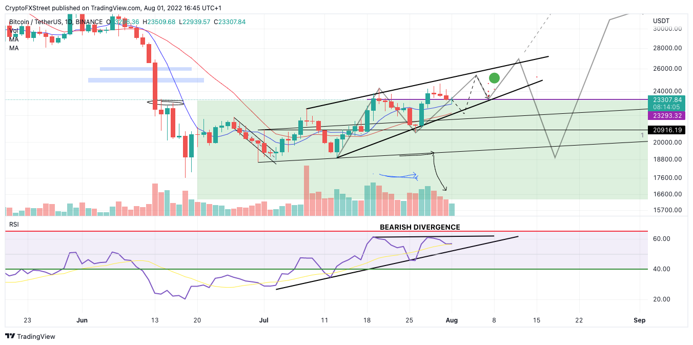 tm/btc/8/1/22