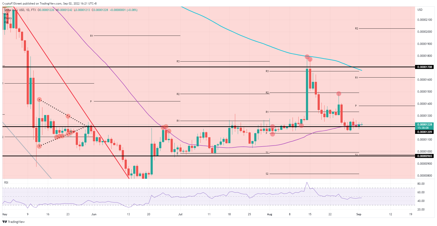 SHIB/USD Daily chart