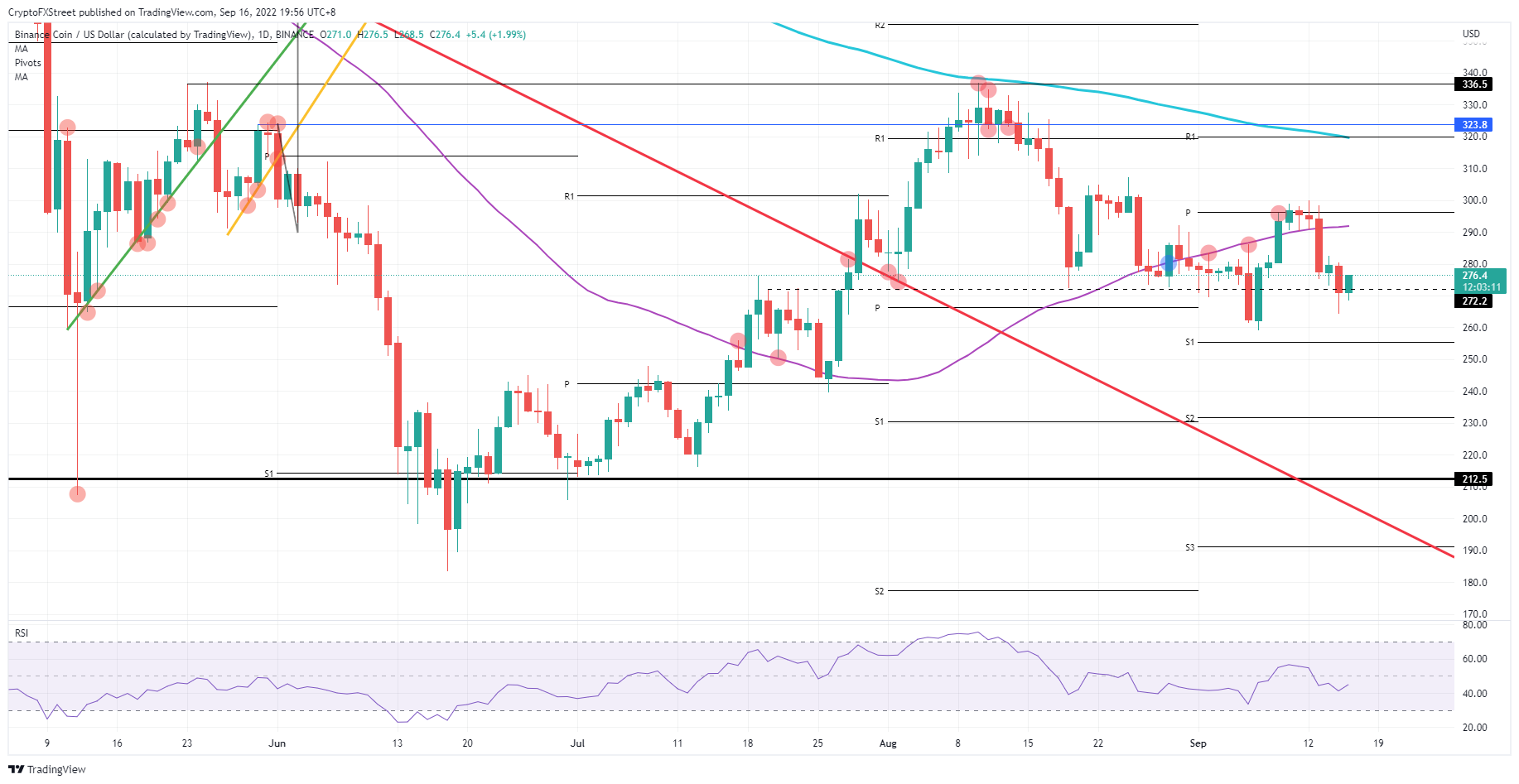 BNB/USD Daily chart