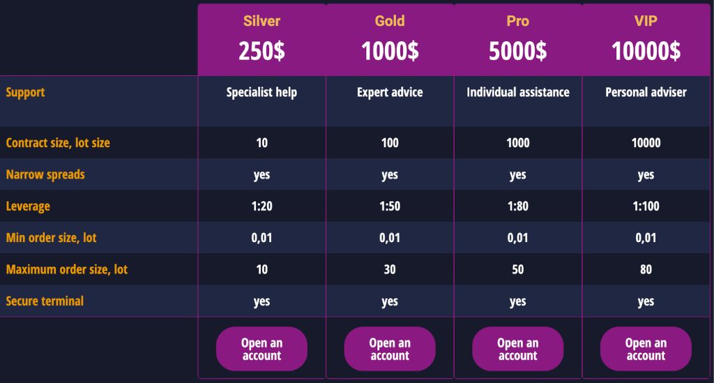 Novelis Capital Accounts